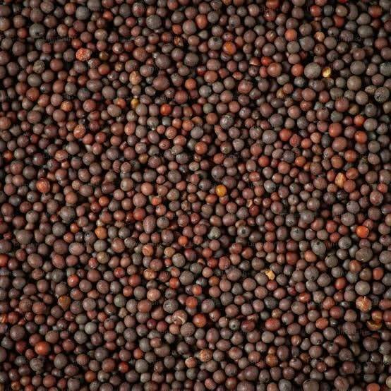 सरसों (Mustard)