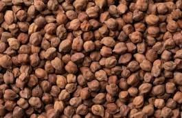 चना (Chickpea)